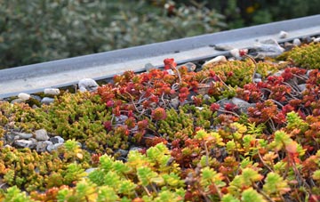 the cost of Ironbridge green roof installation